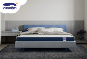 So sánh nệm Foam Amando và Foam Goodnight nên mua loại nào?