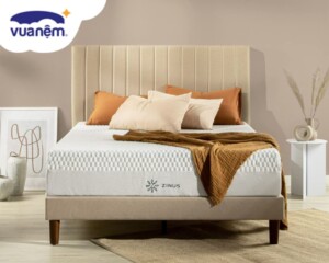 So sánh từ A – Z nệm foam Amando và foam Zinus đầy đủ, chi tiết