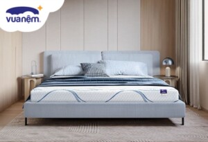 So sánh nệm Foam Goodnight và Foam D’lavish nên mua loại nệm nào?