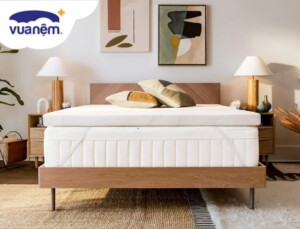 So sánh nệm Foam Tempur và Foam D’lavish dòng nệm nào tốt?