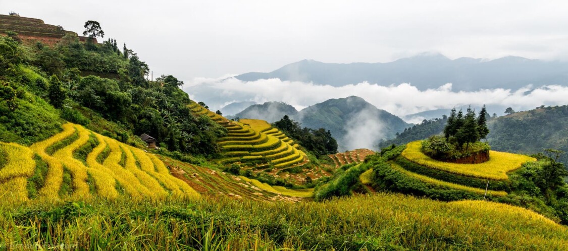 hoàng su phì ở đâu