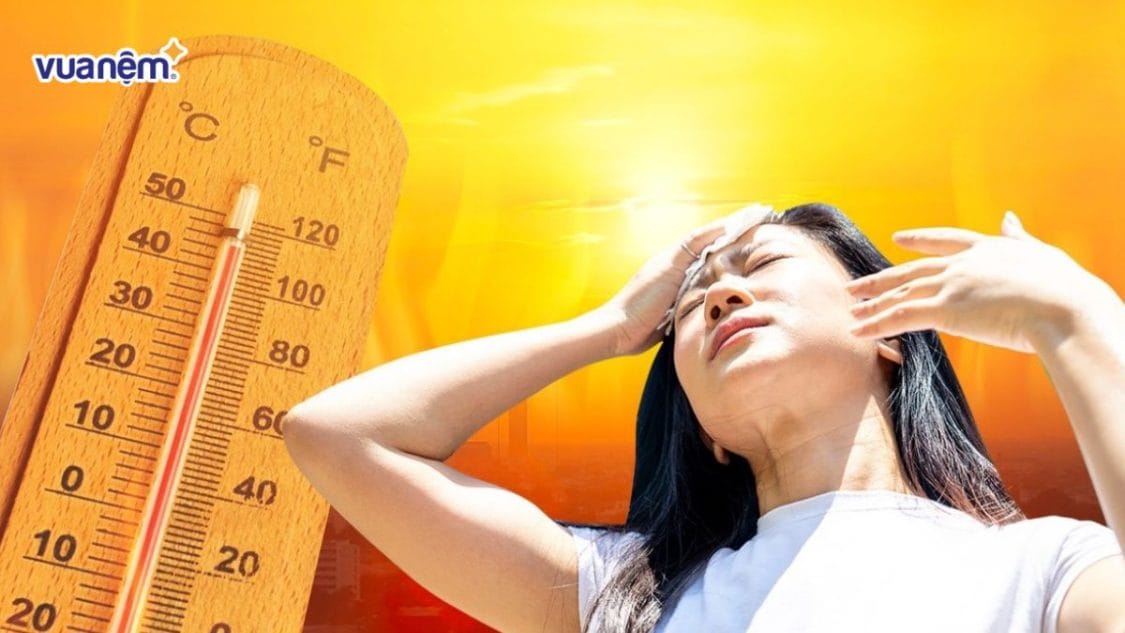 tại sao nắng nóng khiến bạn buồn ngủ