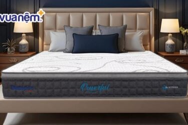 nệm Dunlopillo 1m2