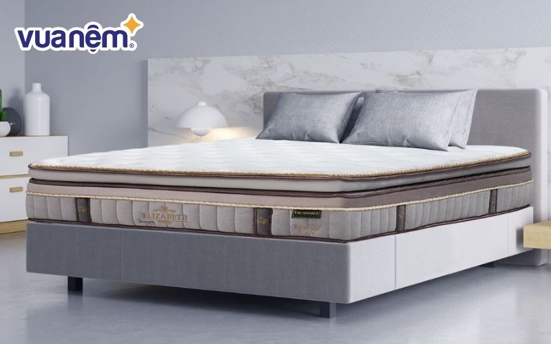 Thương hiệu nệm Dunlopillo