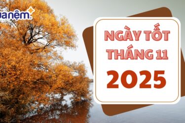 Cập nhật lịch ngày tốt tháng 11 năm 2025 đầy đủ nhất