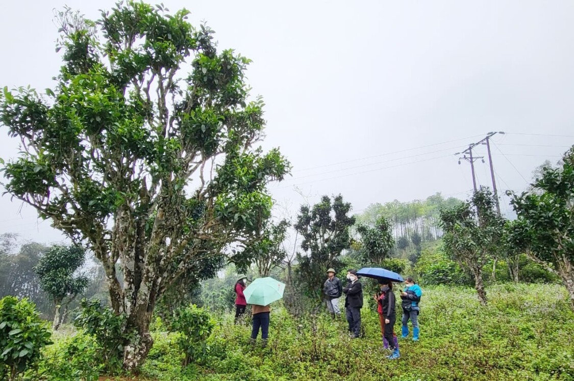  núi Bằng Phú Bắc Kạn