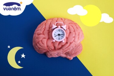 phần nào của não kiểm soát giấc ngủ