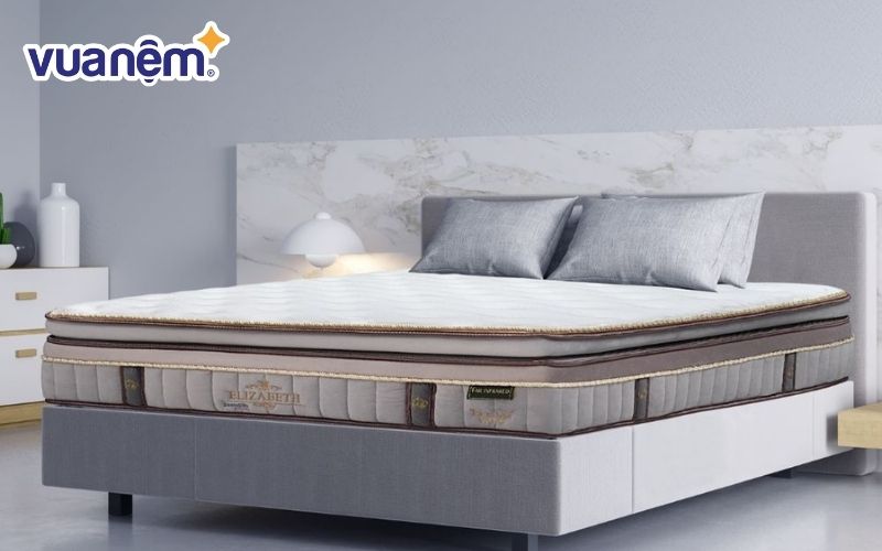 Nệm cao su Đồng Phú ra đời năm 2008