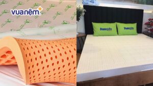 So sánh nệm Đồng Phú và nệm Dunlopillo đầy đủ, chi tiết nhất