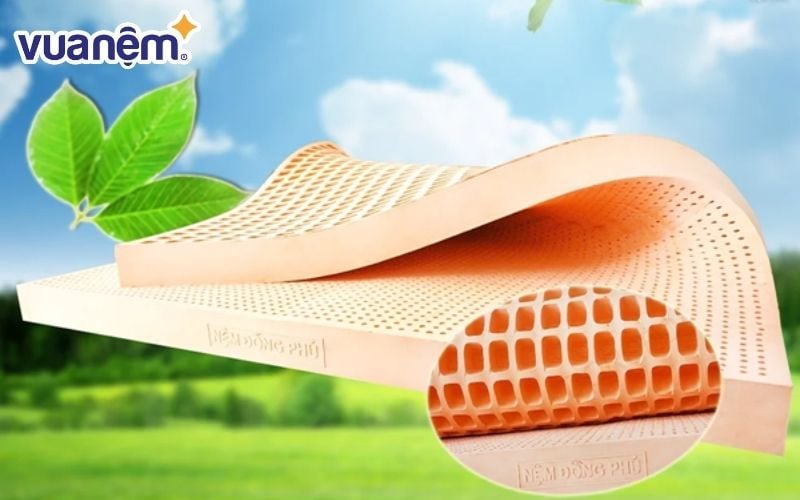 Nệm Đồng Phú thuộc thương hiệu lâu đời