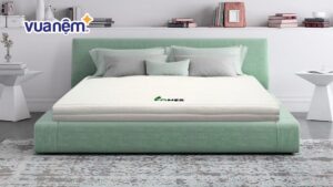 So sánh nệm Đồng Phú và nệm Gummi: Nệm nào tốt hơn?