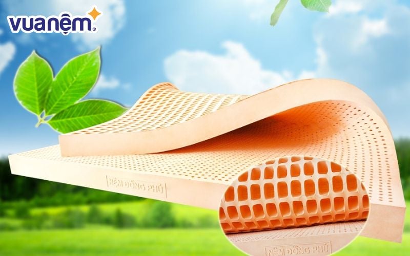 Đồng Phú là thương hiệu nổi tiếng với các sản phẩm nệm cao su