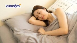 So sánh nệm Đồng Phú và nệm Sông Hồng chi tiết nhất