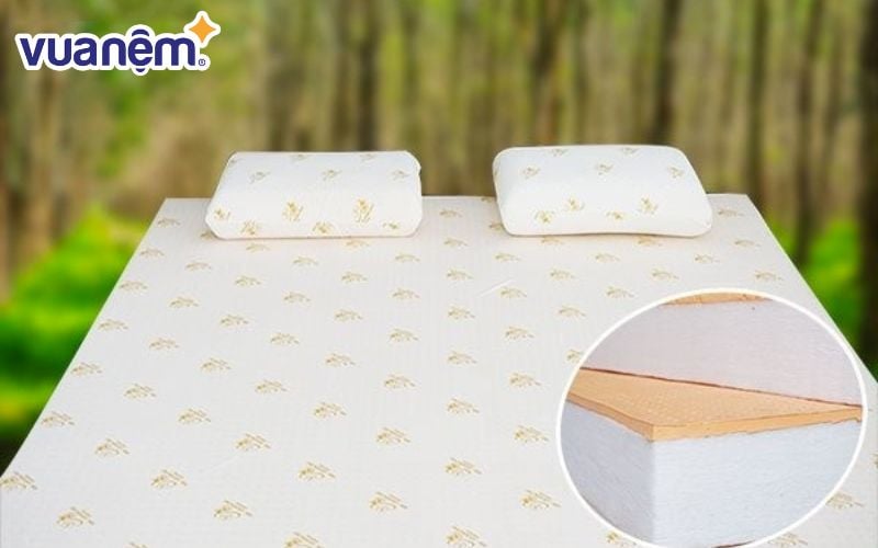 Nệm Đồng Phú là thương hiệu lâu đời tại Việt Nam