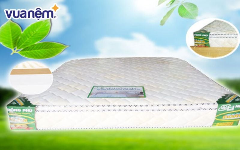 Nệm Đồng Phú là lựa chọn phù hợp cho những ai yêu thích sự bền chắc, tối giản và giá hợp lý