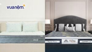 So sánh nệm Edena và nệm Kim Cương: Nên mua loại nào?