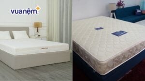 So sánh nệm Edena và nệm Vạn Thành: Nên mua nệm nào?
