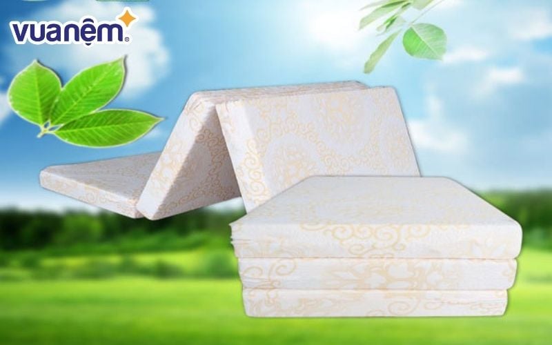 Thương hiệu nệm Đồng Phú