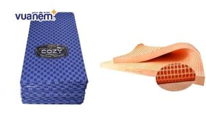 So sánh nệm Hàn Việt Hải và nệm Đồng Phú – Nệm nào tốt hơn? 