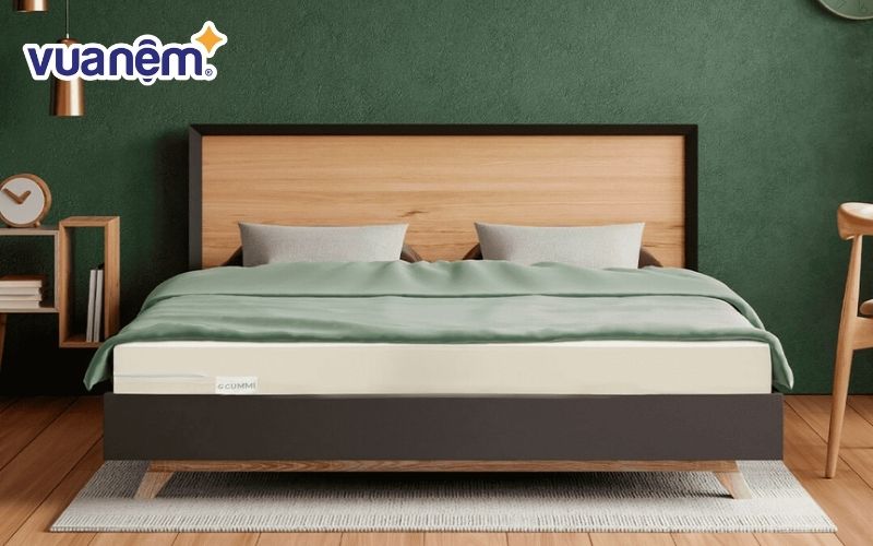 Mua nệm Gummi chính hãng tại các cửa hàng của Vua Nệm