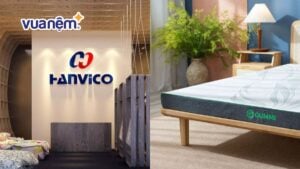 So sánh nệm Hanvico và nệm Gummi chi tiết nhất