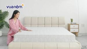 So sánh nệm Hanvico và nệm Thuần Việt đầy đủ, chi tiết nhất