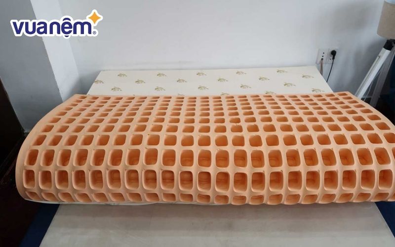 Thương hiệu nệm Đồng Phú