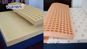 So sánh nệm Kim Cương và nệm Đồng Phú có gì khác nhau?
