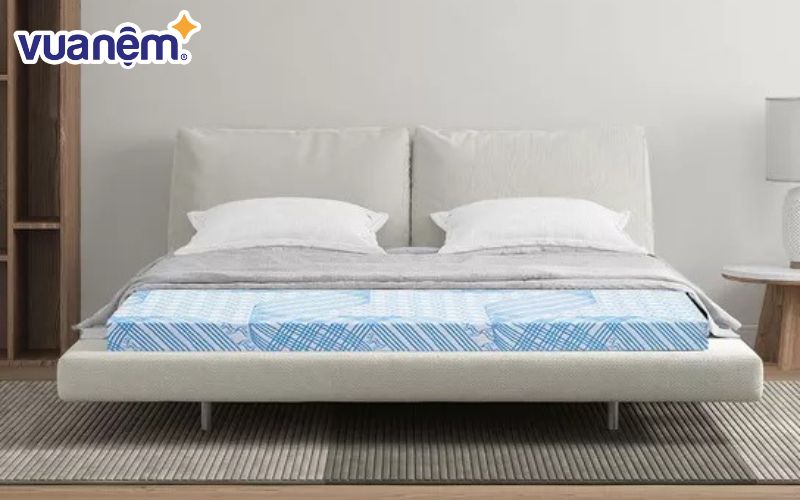 So sánh nệm Kim Cương và Thắng Lợi - Nệm cao su Kim Cương có độ dày đa dạng