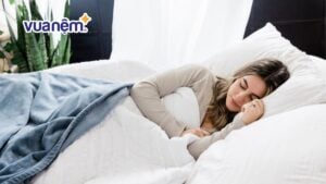 So sánh nệm Liên Á và nệm Thắng Lợi: Nên chọn hãng nào?