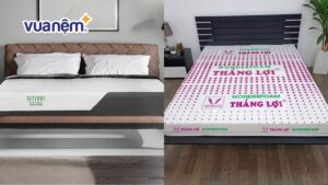 So sánh nệm Tatana và nệm Thắng Lợi: Nên mua nệm hãng nào?