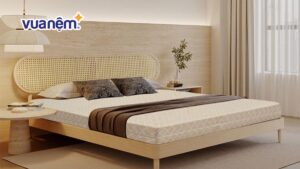 So sánh nệm Thắng Lợi và nệm Vạn Thành: Nên mua loại nào?