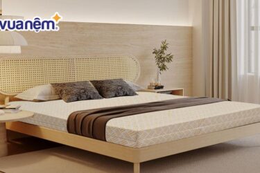 so sánh nệm Thắng Lợi và Vạn Thành