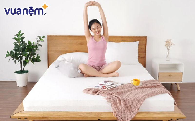 Tham khảo thêm nhiều loại nệm khác trước khi quyết định thì ghé qua Vua Nệm nhé