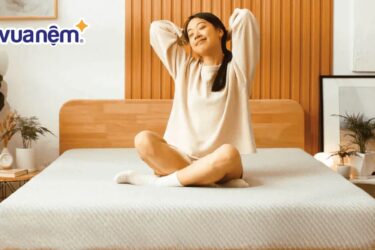 So sánh nệm Thuần Việt và nệm Đồng Phú
