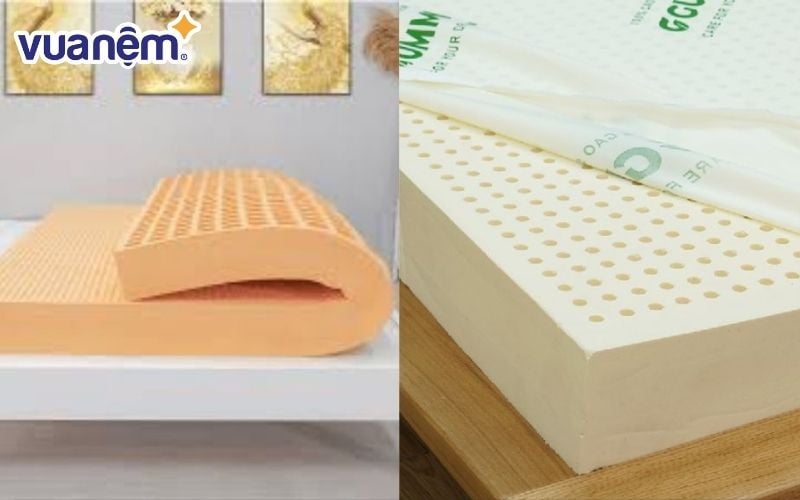So sánh nệm Thuần Việt và nệm Gummi
