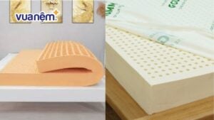 So sánh nệm Thuần Việt và nệm Gummi loại nào tốt hơn?