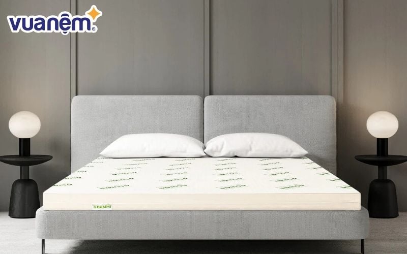 Mua nệm Gummi uy tín tại Vua Nệm