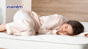 So sánh nệm Vạn Thành và nệm Amando: Nên chọn loại nào?