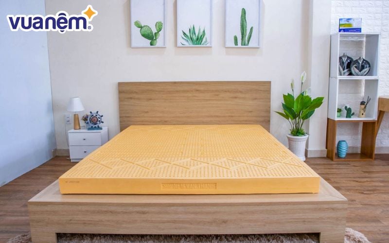 Thương hiệu nệm Vạn Thành ngày càng trở nên phổ biến, thân thuộc với nhiều người tiêu dùng