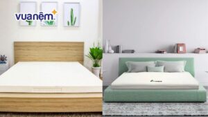 So sánh nệm Vạn Thành và nệm Gummi: Nên chọn hãng nào?