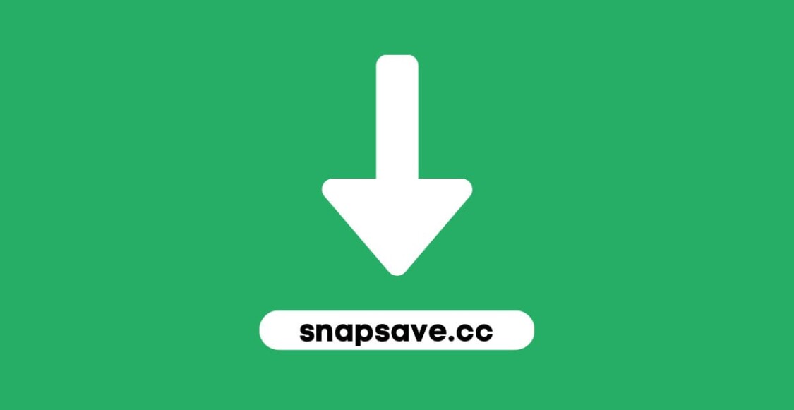 Sử dụng SnapSave để tải video từ Facebook 