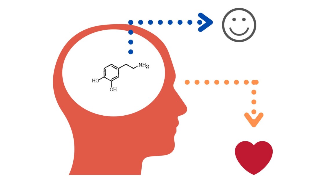 vai trò của dopamine