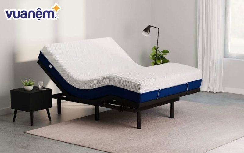 Adjustable bed ngày càng được ưa chuộng ở trên thế giới