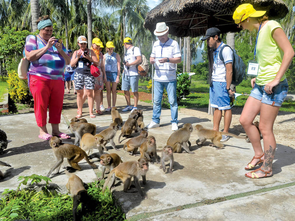 tham quan đảo khỉ nha trang