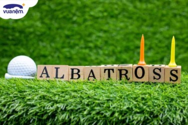 Albatross là gì? Khám phá các kỷ lục Albatross golf trên thế giới