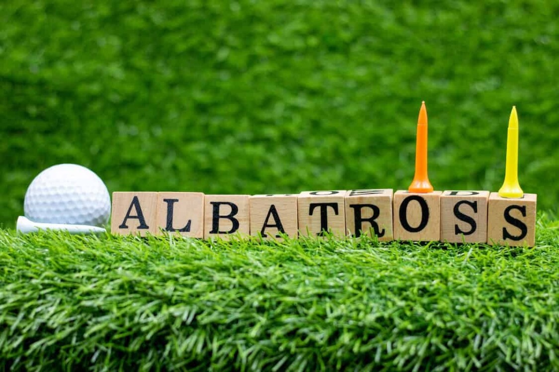 Albatross là gì trong golf