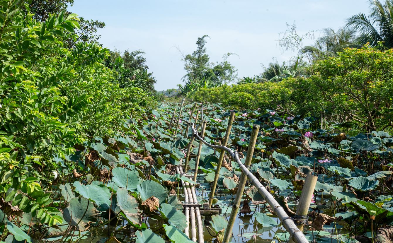 cần thơ địa điểm du lịch