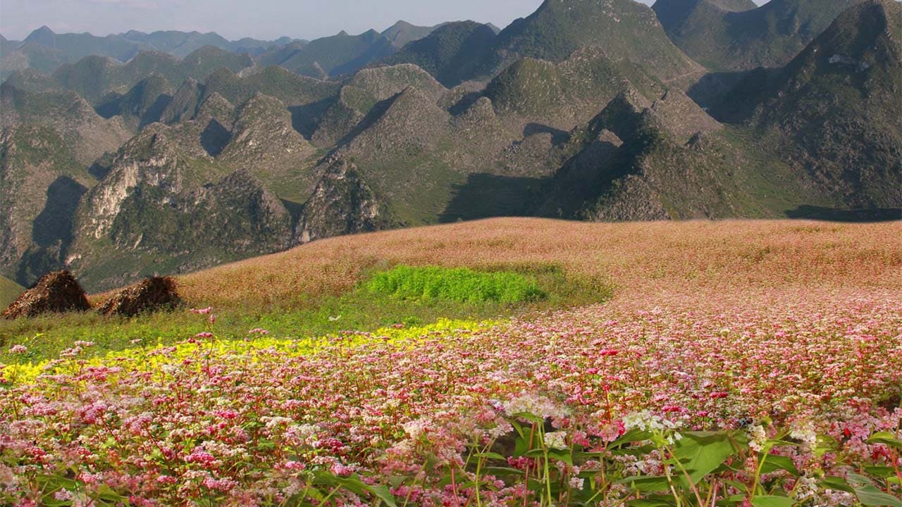 địa điểm du lịch của hà giang