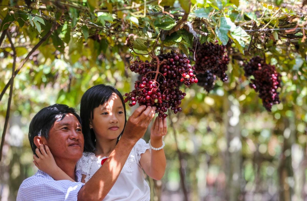 địa điểm du lịch của tây ninh